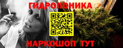 стаф Тулун