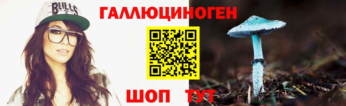 Нижний Новгород  Псилоцибиновые грибы Cubensis  Вход с VPN 